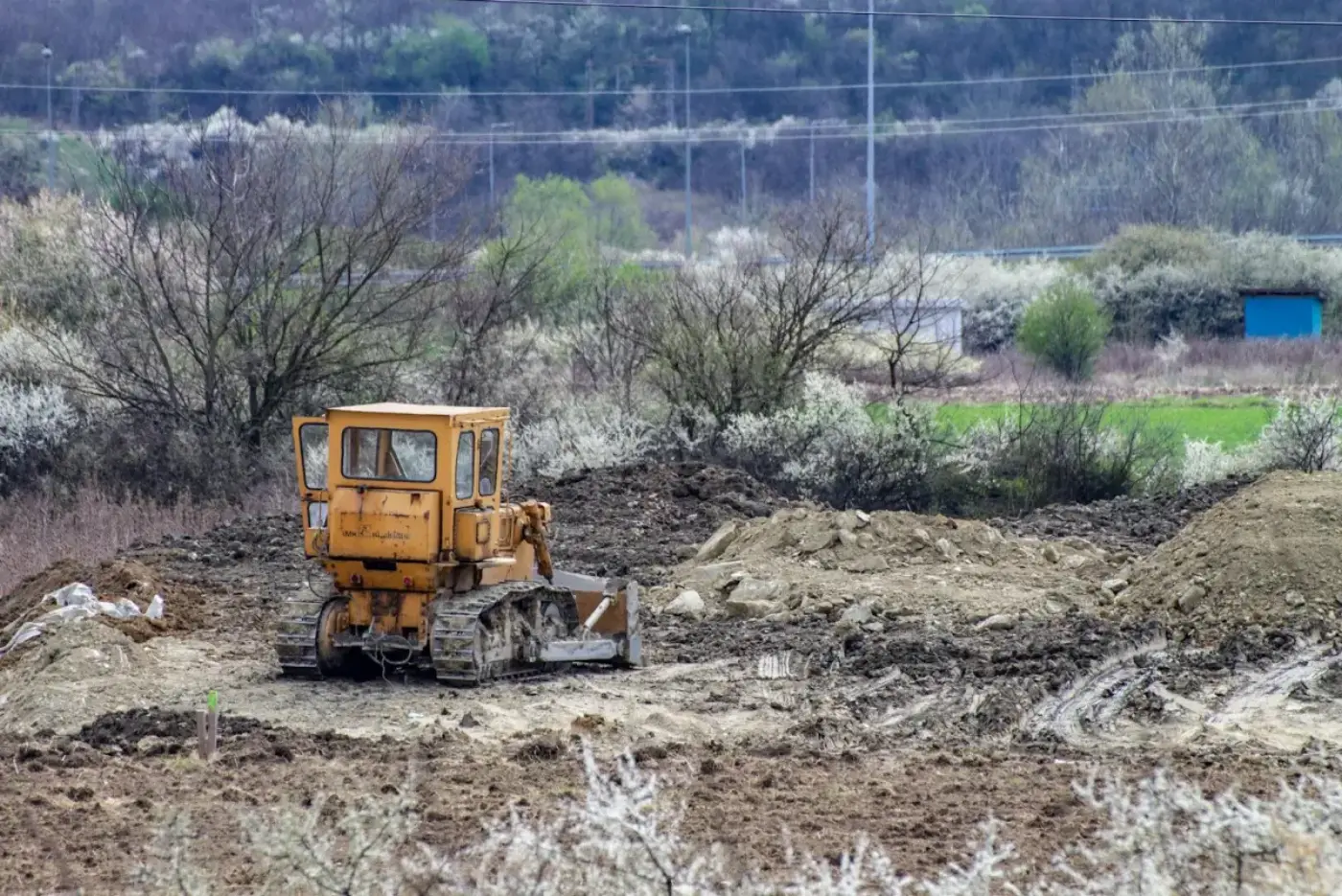 Land Clearing planning image for Jacksonville