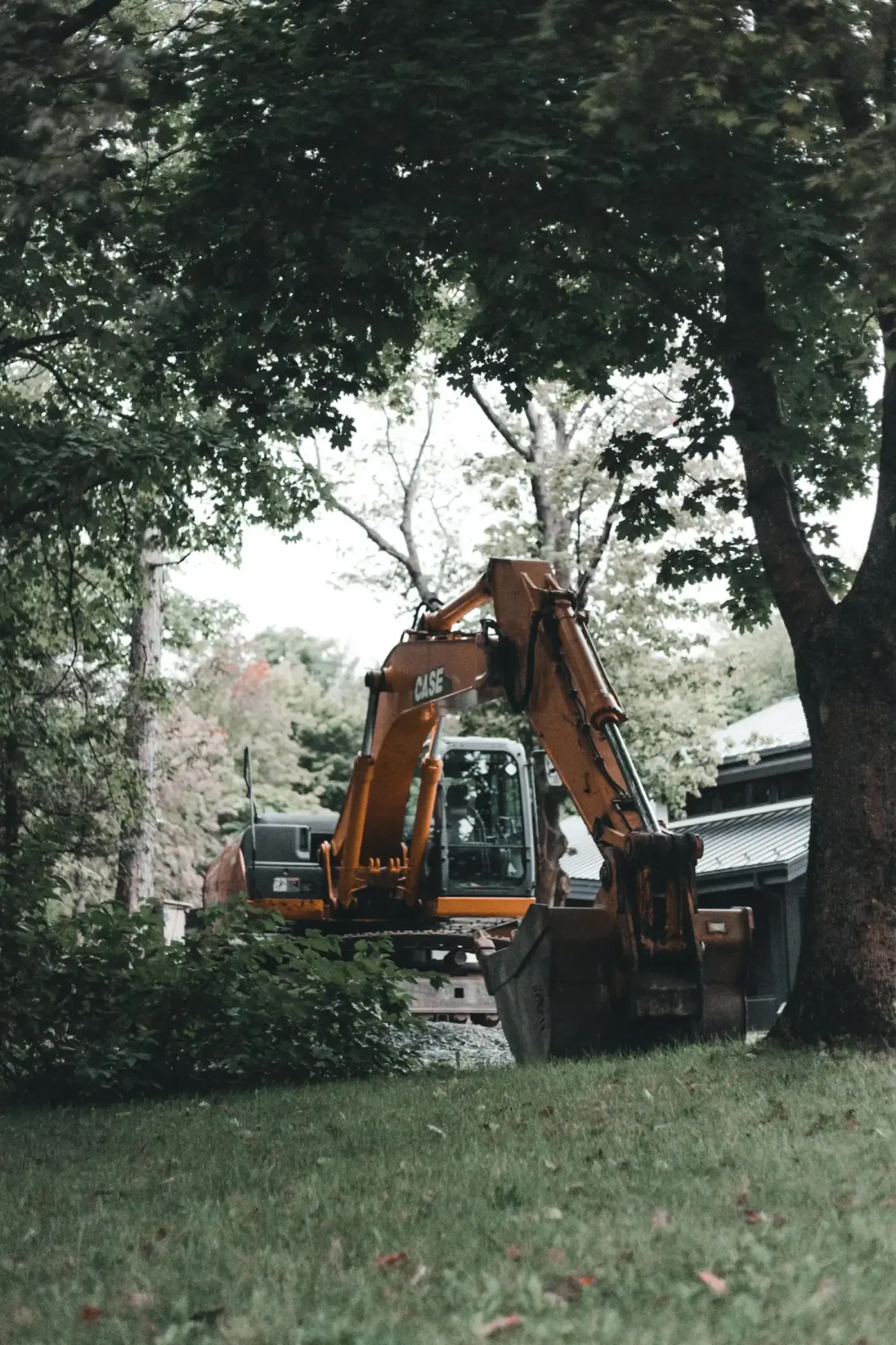 Forestry Mulching jobsite context image